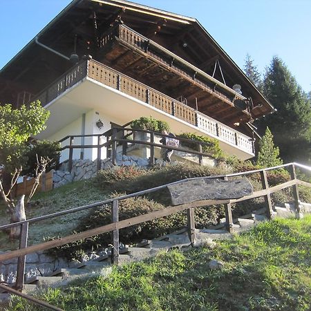 Chalet Erica Lägenhet Jaun Exteriör bild