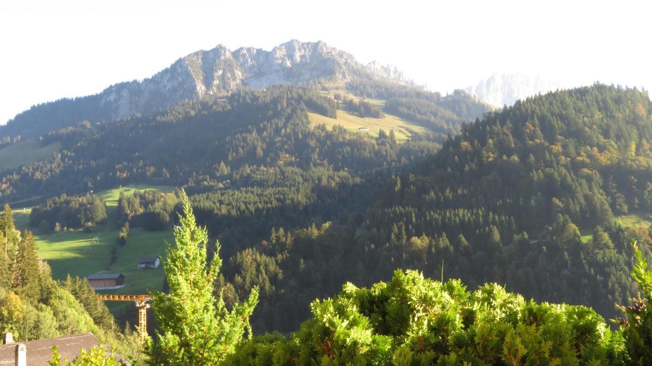 Chalet Erica Lägenhet Jaun Exteriör bild
