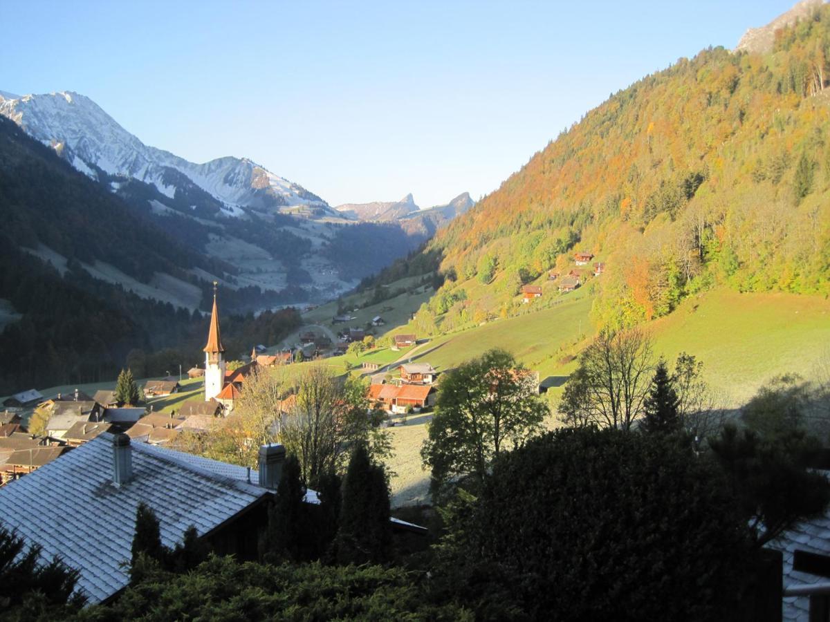 Chalet Erica Lägenhet Jaun Exteriör bild