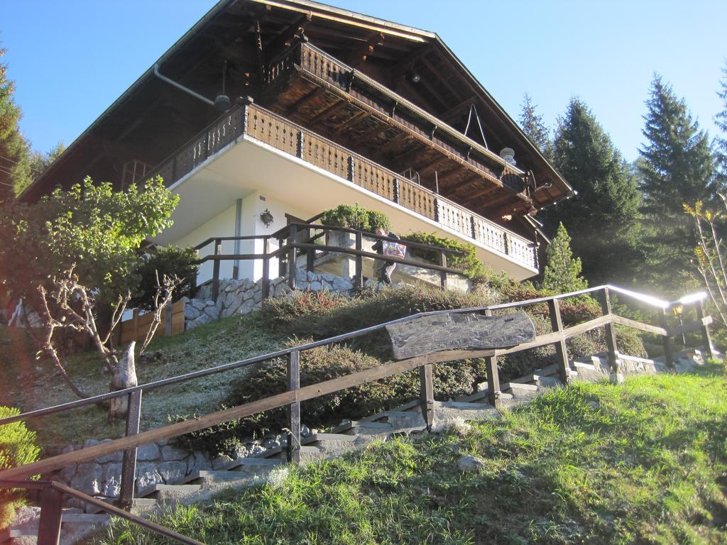 Chalet Erica Lägenhet Jaun Exteriör bild
