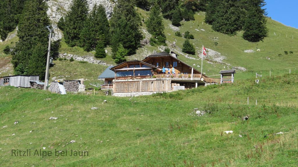 Chalet Erica Lägenhet Jaun Exteriör bild