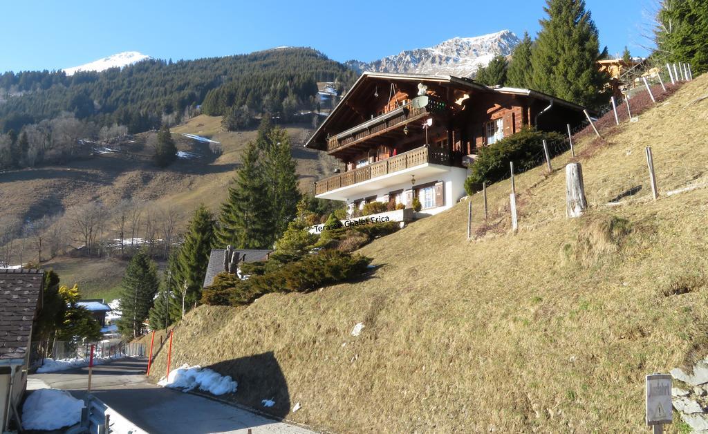 Chalet Erica Lägenhet Jaun Exteriör bild